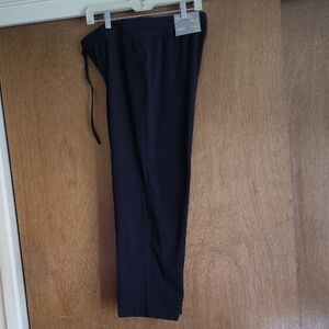Business Casual Black Pants in a Petite Large Short Length.
